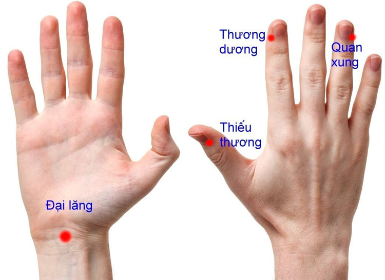 Các huyệt ở tay có tác dụng trị viêm amiđan - Ảnh BSCC anh-2-2.jpg