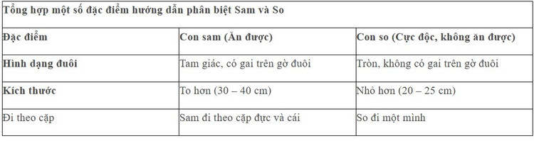 Hướng dẫn đơn giản phân biệt con sam và con so - Nguồn hình: Internet anh-chup-man-hinh-2025-06-10-144006.jpg