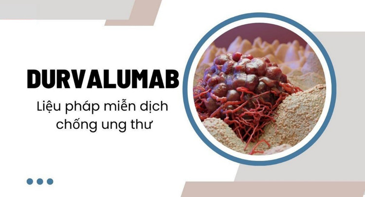 lieu-phap-mien-dich-ung-thu.jpg