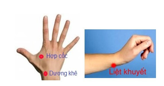 Các huyệt có tác dụng trị bệnh - Ảnh BVCC viem-bao-gan2.jpg