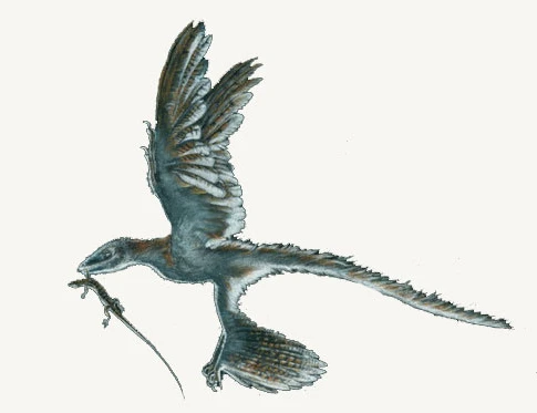 Những loài khủng long có hình dáng ngớ ngẩn không đỡ nổi