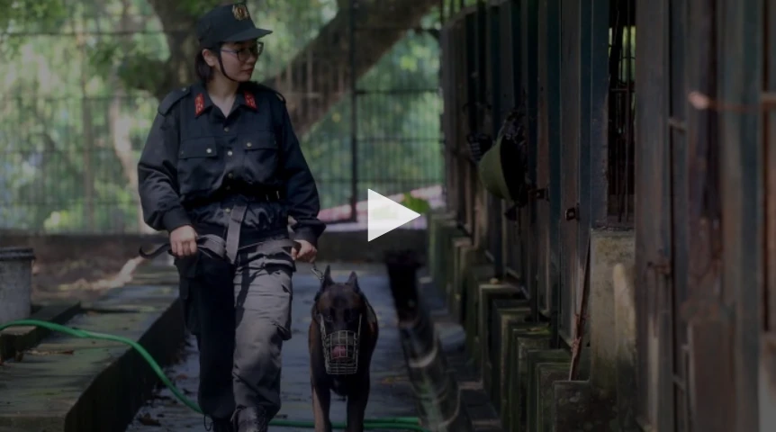 “Bóng hồng duy nhất” huấn luyện cảnh khuyển của Bộ tư lệnh Cảnh sát cơ động