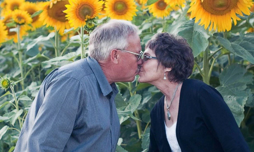 Ngắm cánh đồng hướng dương của người chồng yêu vợ ung thư