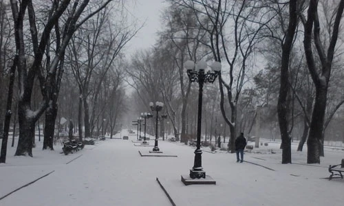 Chiến sự biến Donetsk thành "thành phố ma"