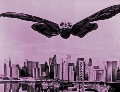 Những loài sâu bọ kích thước “to đại tướng“