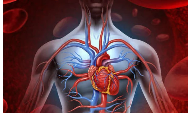 Kỳ diệu bộ phận cơ thể người tự hồi phục sau tổn thương