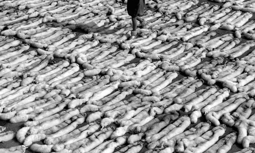 Khám phá thị trấn làm lông thú lớn nhất thế giới