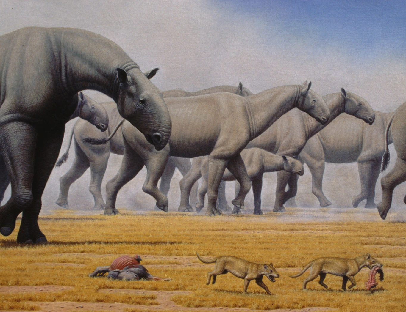 Tận mục loài động vật có vú “khủng' nhất từng tồn tại