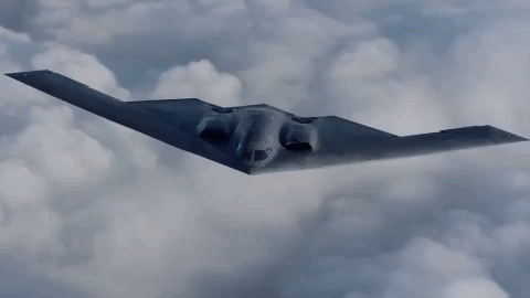 B-2 được trang bị hai khoang vũ khí trong thân có thể mang theo 23 tấn bom. Tùy theo từng nhiệm vụ, nó sẽ mang 80 bom Mk82 227kg hoặc 16 bom Mk 84 nặng 1.000kg hoặc 16 bom hạt nhân B61/B83.