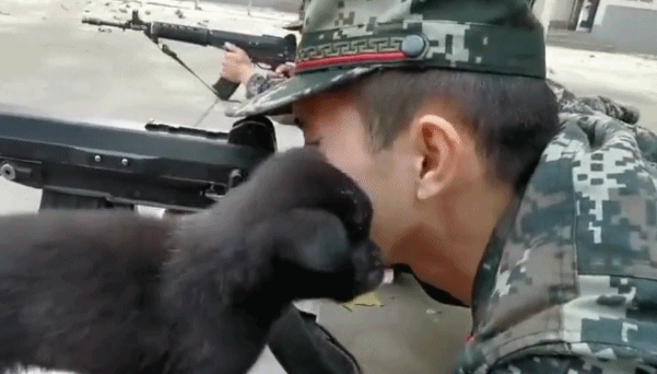 Hình ảnh hài hước và không kém phần đáng yêu này đã khiến cộng đồng mạng Trung Quốc dậy sóng. Nguồn ảnh: QQ.