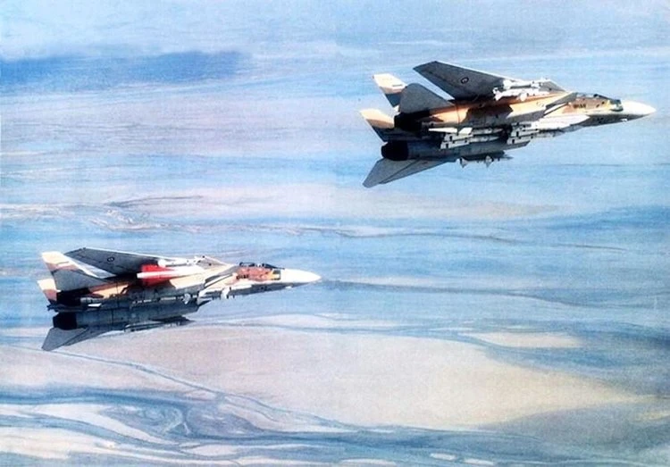 Chiến công kỳ lạ của F-14 Iran, một tên lửa hạ ba máy bay