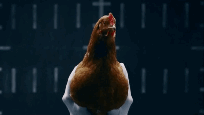 Với đặc tính luôn cân bằng và tự ổn định đầu mình, một loạt các cảm biến sẽ được gắn lên chú gà xấu số và từ các cử động của nó, quả bom sẽ tự điều khiển để đạt được độ cân bằng cao nhất khi rơi. Nguồn ảnh: BI.