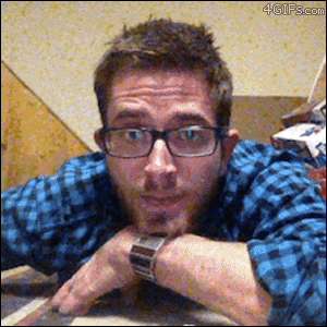 Đôi khi cả động vật cũng tham gia vào trò phá đám này.