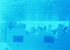 Bài huấn luyện cơ bản nhất của biệt kích hải quân Mỹ đó là lặn một hơi từ đầu bể tới cuối bể. Bể bơi của đặc nhiệm Hải quân Mỹ được thiết kế theo chuẩn của bể bơi Olympic nghĩa là rộng 25 mét, dài 50 mét nhưng sâu hơn. Nguồn ảnh: Gify.