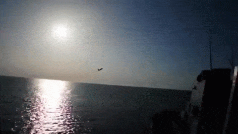 Vụ đụng độ xảy ra trên Biển Đen vào tháng 4-2016 giữa máy bay ném bom tiền tuyến Su-24 Fencer của không quân Nga và khu trục hạm USS Donald Cook lớp Arleigh Burke của hải quân Mỹ đã gây ra rất nhiều tranh cãi.