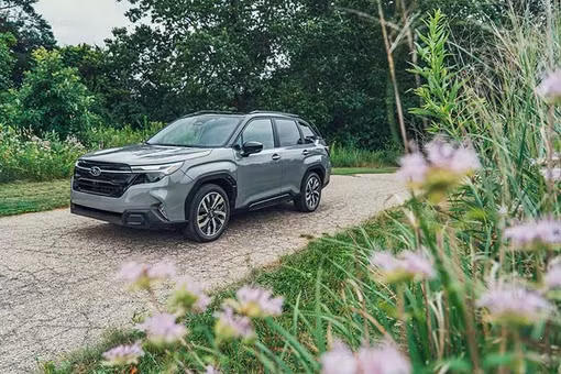[GALLERY] Subaru Forester HEV ra mắt Việt Nam tháng 10/2026, khoảng 1,5 tỷ?