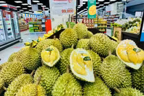 Xuất khẩu mít thu gần 68 triệu USD, mở rộng đường sang Trung Quốc