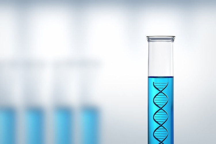 Các nhà khoa học NFSU Goa giới thiệu phương pháp chiết DNA từ đất giá rẻ, hiệu quả cao. 162541danh-gia-chat-luong-va-xac-dinh-ham-luong-adn.jpg