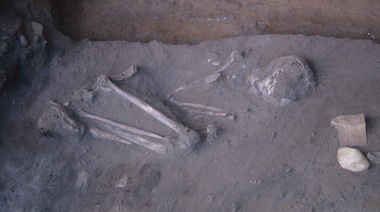 В 1997 году археологи обнаружили скелет, похороненный в позе эмбриона, в Тока-дус-Кокейруш, археологическом памятнике в бразильском национальном парке Серра-да-Капивара. Фото: @Mooacir Элиас Сантос. 1-9258.png