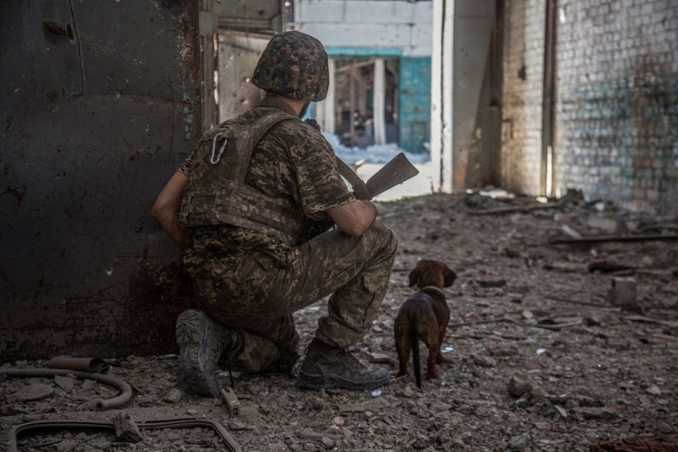 Die Ukraine hat die Angaben Russlands bislang nicht bestätigt. Kiew wirft Moskau häufig vor, militärische Siege zu Propagandazwecken zu übertreiben. Unabhängige Quellen aus der Region berichten jedoch von heftigen Kämpfen in der Region Pokrowsk. Daher kann die Möglichkeit russischer Vorstöße nicht ausgeschlossen werden. 5-anh-wikipedia.jpg