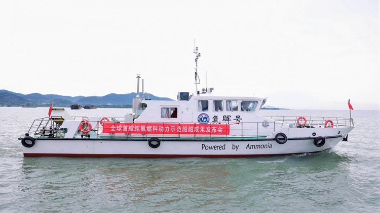thedailycpec.com 1751175123468-213.jpg