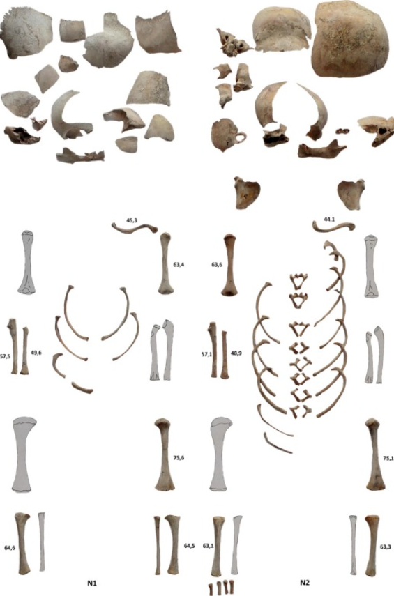 7.png