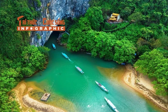 [INFOGRAPHIC] Loài thực vật quý hiếm mới ghi nhận ở VQG Phong Nha - Kẻ Bàng