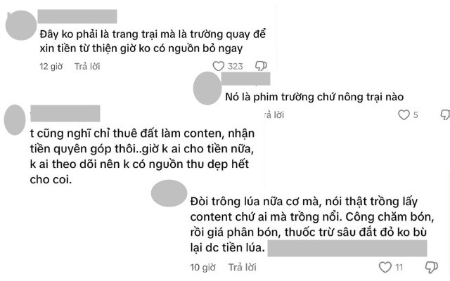 Nhiều bình luận cho rằng trang trại của Quang Linh Vlogs chỉ là phim trường. Nguồn (ảnh chụp màn hình bình luận ở Loa phát thanh). piep-9q9psunq171403849361917140384936191-1748788646418-17487886465681385653480.jpg