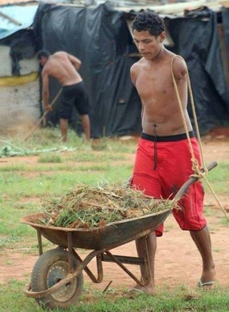 Bức ảnh nghị lực trong cuộc sống của người đàn ông không tay ở Ấn Độ nhận hơn 6.000 lượt like, 60 lượt chia sẻ và nhiều bình luận bày tỏ sự cảm phục trên mạng xã hội. "Anh ấy không có tay, nhưng anh ấy đã tìm mọi cách để vươn lên trong cuộc sống. Mình có đủ cả hai chân, hai tay nhưng thực sự chưa làm được những điều như anh ấy, có lẽ mình phải sẽ cố gắng phấn đấu hơn nữa...", nickname Saku bày tỏ.