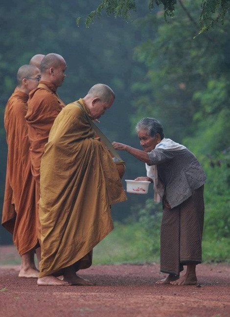 "Đẹp từ hành động đến tấm lòng". Ngay sau khi đăng tải, bức ảnh đã nhanh chóng nhận được hơn 17.000 lượt thích, hằng trăm lượt chia sẻ.