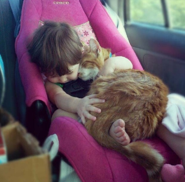 Vòng tay ấm áp của cô chủ nhỏ.