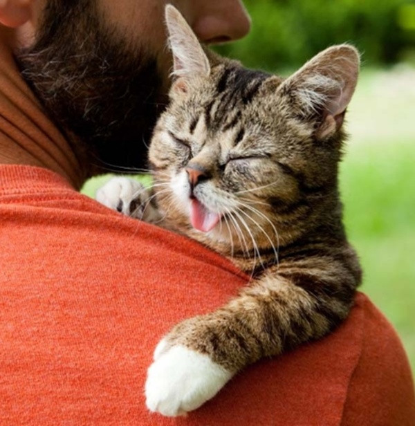 Động vật cũng có tình cảm như con người.