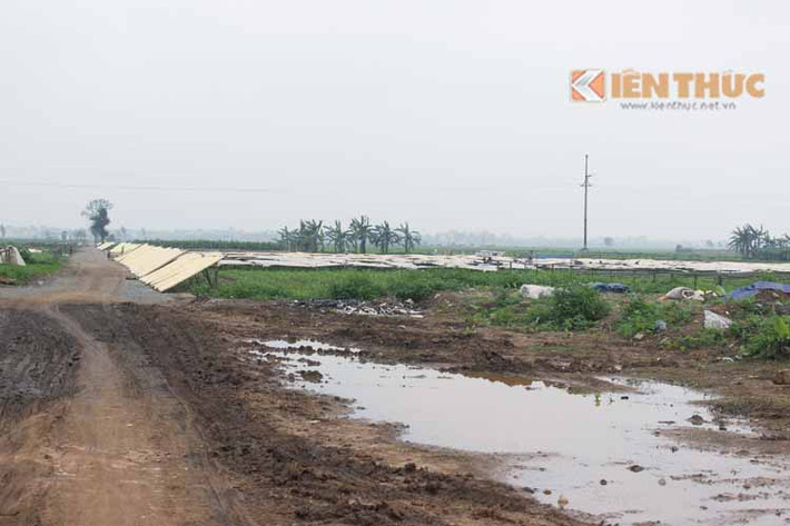Là một trong những nơi cung cấp sản lượng miến lớn nhất cả nước, miến dong xã Dương Liễu (Hoài Đức, Hà Nội) đang có nguy cơ mất an toàn thực phẩm bởi người dân phơi miến tràn lan trên mặt đường giao thông...