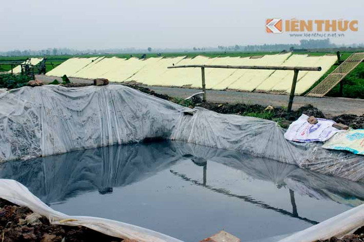 ... sát bên những hố nước phân đen ngòm...