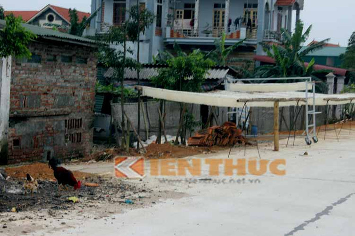 Miến phơi ngay cạnh chuồng gà...
