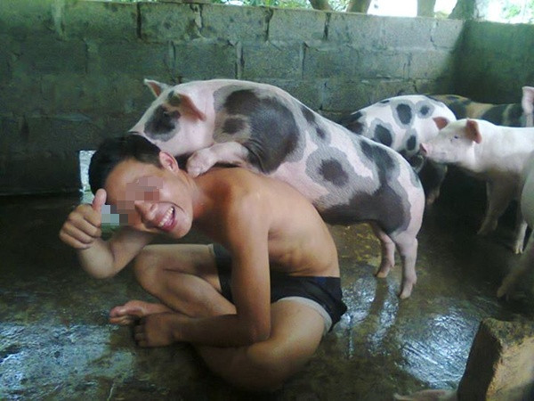 Nam thanh niên cảm thấy thích thú khi chui vào chuồng lợn tắm.