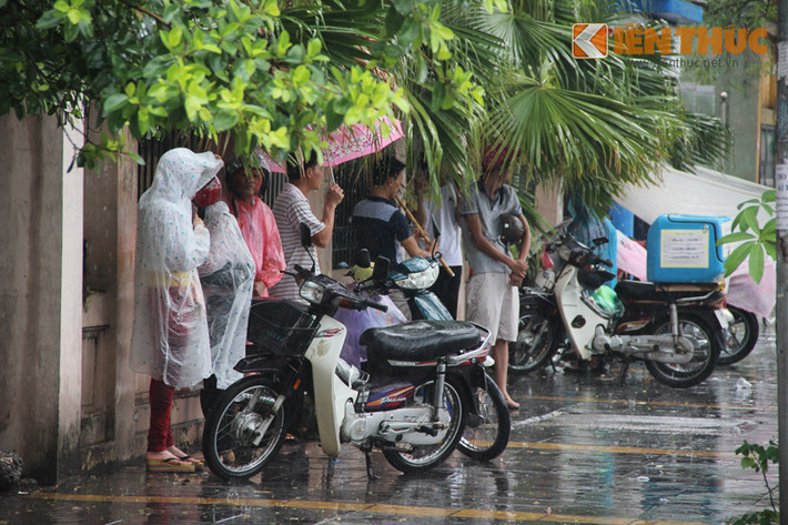 ... hay dưới những tán lá cây ven đường.