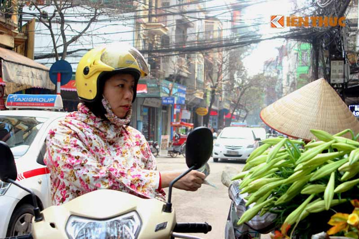 Năm nay, loa kèn được mùa, được giá. Giá mỗi bó chục bông loa kèn bán lẻ tại các chợ, các đường phố rơi vào khoảng 15.000 đến 30.000 đồng.Tháng 4 đến, trong nhiều gia đình, công sở ở Hà Nội không thể thiếu lọ hoa loa kèn.