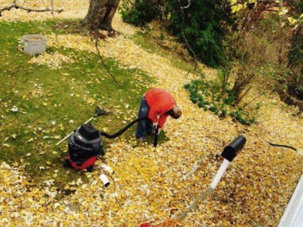 Hút như thế này thì bao giờ cho hết lá cây?