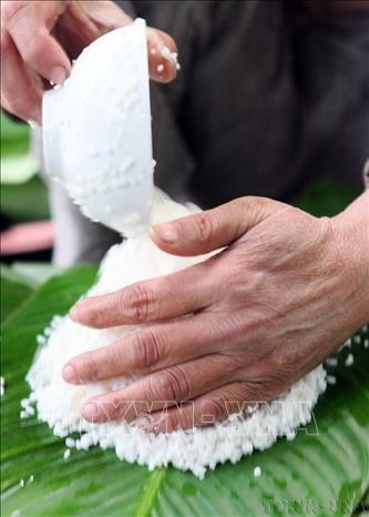Gạo gói bánh phải chọn loại nếp ngon, hạt to tròn và đều, mẩy, có mùi thơm, ngon nhất là loại nếp cái hoa vàng, vừa thơm, vừa dẻo. Ảnh: Huy Hùng/TTXVN
