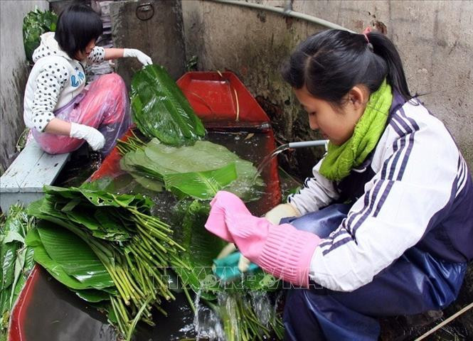 Trải qua hàng ngàn năm, mỗi khi Tết đến, Xuân về, người người, nhà nhà lại quây quần gói bánh chưng, dâng bánh lên bàn thờ tổ tiên, mong cầu cho một năm mới an lành, hạnh phúc. Ảnh: Lá dong gói bánh được rửa sạch, để ráo nước, lau khô trước khi đem đi gói bánh. Ảnh: Huy Hùng/ TTXVN