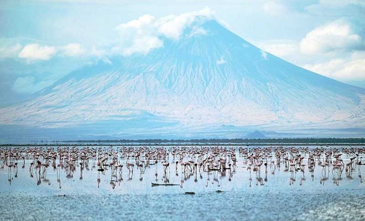 Hồ Natron ở Tanzania là một địa danh độc đáo trên thế giới thu hút nhiều du khách tham quan, mặc dù đây được cho là nơi nguy hiểm cho cả sinh vật sống và con người.