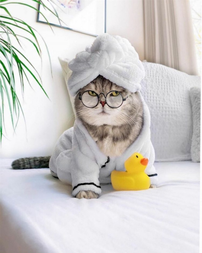 Benson là chú mèo được biết đến với vẻ ngoài dễ thương cùng phong cách thời trang sành điệu. Mỗi bức ảnh của Benson đăng tải đều có một lượng lớn người yêu thích.