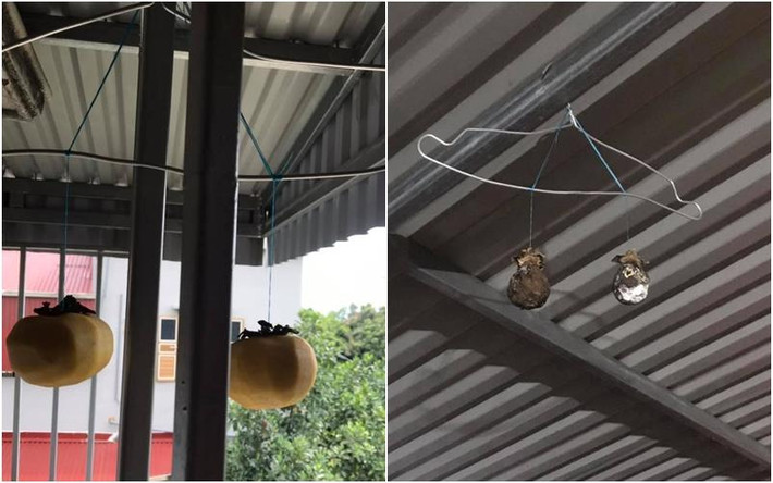 ồng treo gió nhưng gió này có vẻ hơi "độc" nhỉ?