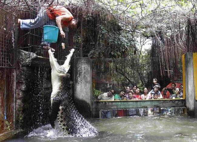 br/> Cuộc sống mà, luôn có những điều bất ngờ. Đó là khi xung quanh chúng ta tồn tại những con người bá đạo, thích trêu đùa tới nỗi dám "giỡn mặt" với tử thần mỗi ngày. Nhìn những gì mà họ thể hiện, chúng ta chỉ còn biết "mắt chữ A, mồm chữ O" thốt lên rằng: Họ cứ như xem đó là niềm vui mỗi ngày ý nhỉ?! Ảnh: Ngoan thì tí anh lại cho ăn tiếp.