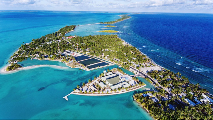 Kiribati, quốc đảo ở Thái Bình Dương, có đặc điểm độc đáo là nằm ở cả 4 bán cầu của Trái đất - Bắc, Nam, Đông và Tây bán cầu.