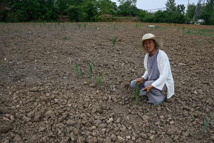 Trong khi đó, miền Bắc nước này quay cuồng vì hạn hán và nhiệt độ cao.