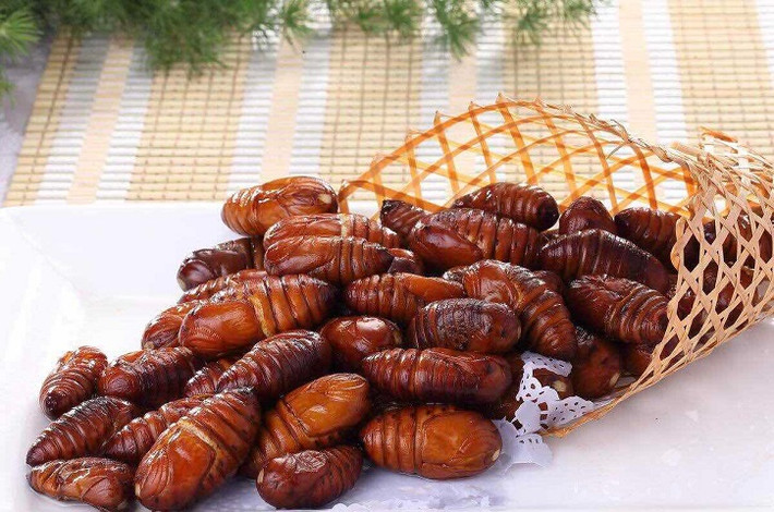 1. Nhộng tằm: Ở Trung Quốc, tằm là món ăn đường phố khá phổ biến. Chúng được tẩm gia vị, mang đi chiên giòn hoặc luộc chín. Những vạc lớn chiên nhộng tằm màu nâu không phải là điều gì hiếm có khi dạo quanh các khu chợ ẩm thực ở Trung Quốc. Mùi thơm bốc lên từ những chiếc chảo này đặc biệt đến nỗi khi bạn đã ngửi một lần thì sẽ khó lòng quên được.