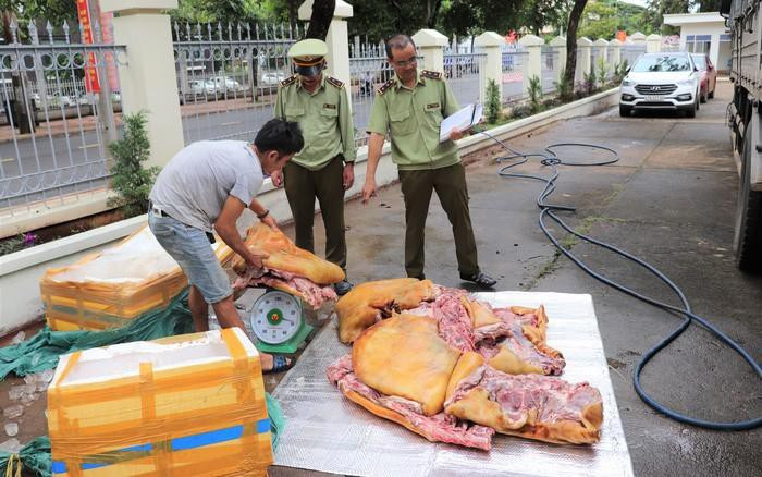 5. Phát hiện 3 tạ thịt heo bốc mùi hôi thối: Tổng Cục Quản lý Thị trường (QLTT) cho biết, cơ quan chức năng vừa khám phương tiện vận tải theo thủ tục hành chính đối với xe ô tô tải mang biển kiểm soát 92C-164.95 tại Km 42 Quốc lộ 26, đoạn qua xã Ea Phê, huyện Krông Pắk, tỉnh Đắk Lắk. Tài xế xe là Hồ Quốc Việt (sinh năm 1982, trú tại huyện Đại Lộc, tỉnh Quảng Nam) thì phát hiện 3 tạ thịt heo bốc mùi hôi thối đang 'tuồn' ra thị trường.