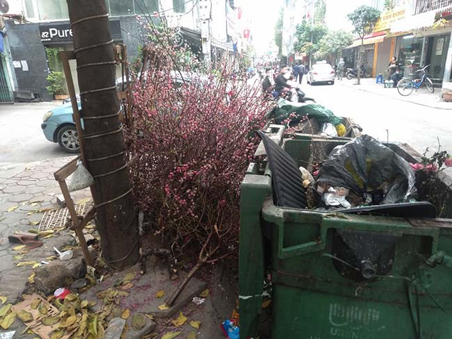 Những ngày này, đi dọc các con phố ở Hà Nội, những cành đào, cây quất bị vứt đầy đường ngổn ngang, thông báo một cái Tết đã qua, người dân trở lại với công việc bộn bề của mình.